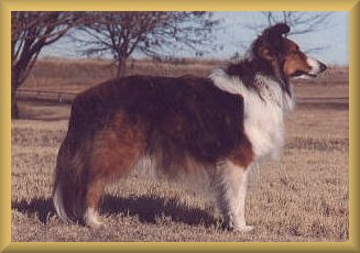 Kippy's side view