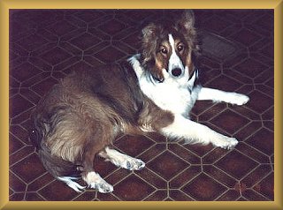 Kippy as a teenager