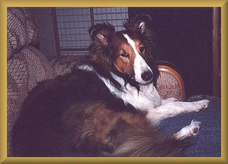 Kippy relaxing