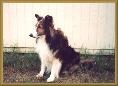 Kippy's side view