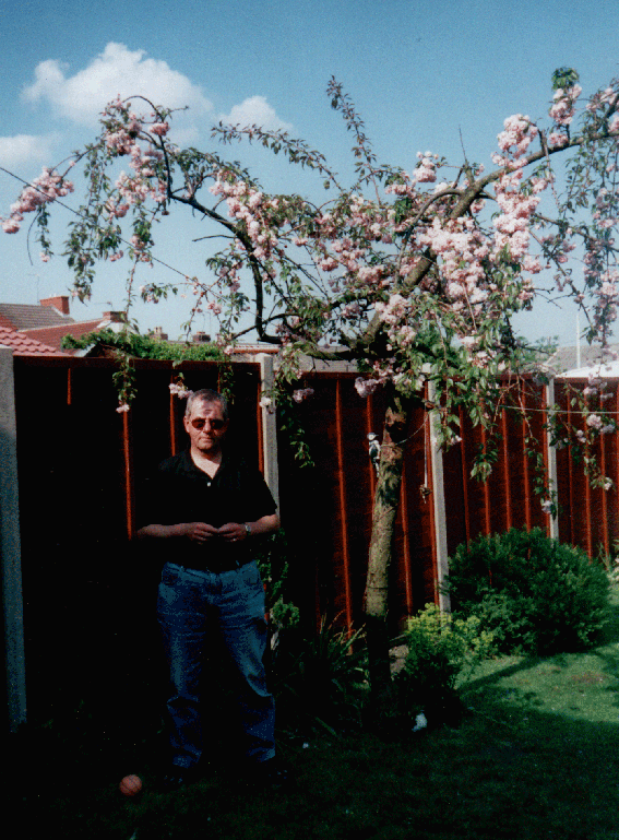 Dad - In the garden at 75 Midland Road