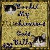 My Mischieviuos Cats
