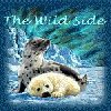 The Wild Side