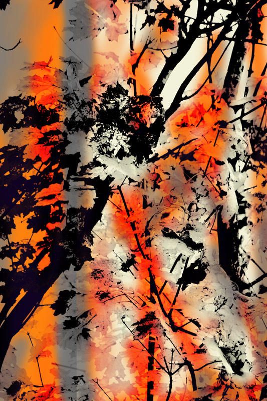 Asia Maple Abstrakt