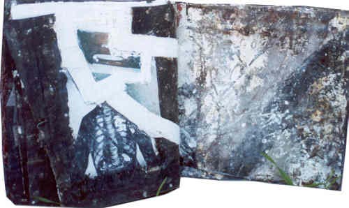 IMAGE 36