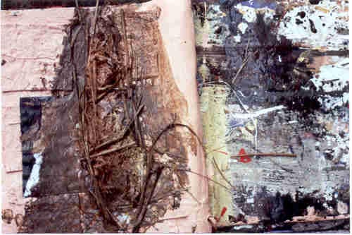 IMAGE 45