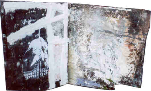 IMAGE 26