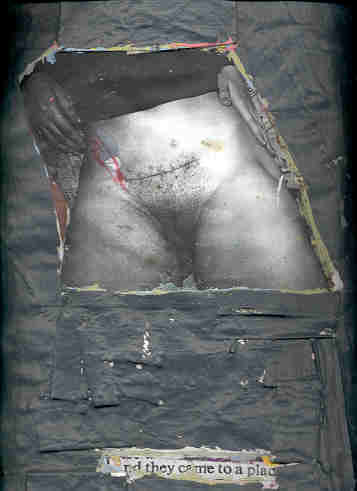 IMAGE 38