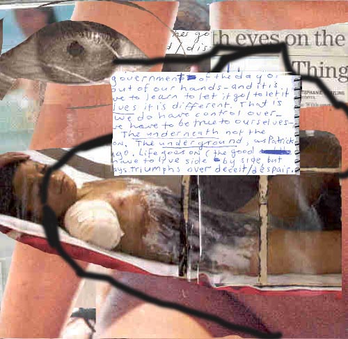 IMAGE 5
