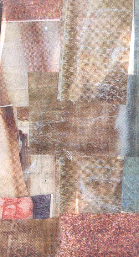 IMAGE 48
