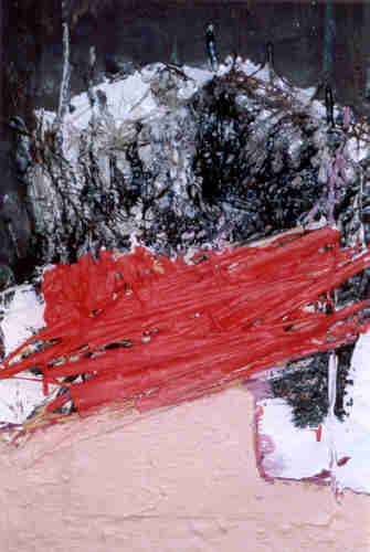 IMAGE 30