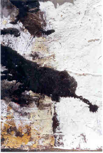 IMAGE 48