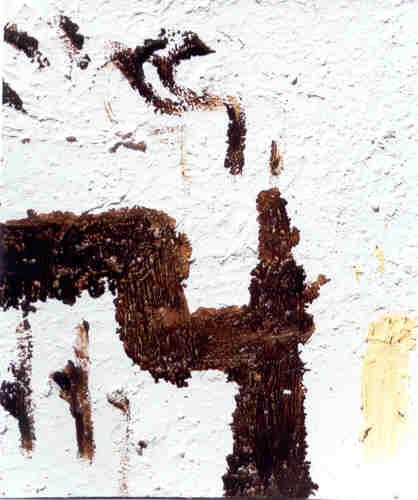 IMAGE 44