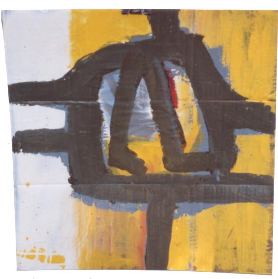 IMAGE 30
