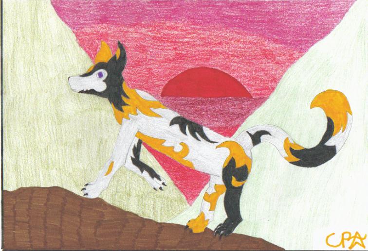 It wasn�t easy. The road is rough even on a roaming racer�s paws. But one day as I crossed a massive, wild mountain range, I looked up to the brilliant crimson sunset. My mother was out there. I knew it.