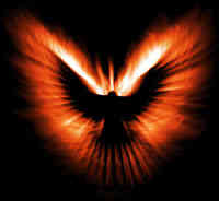 click to enter Reborn Flames