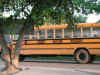 Boston City Schools.jpg (118757 bytes)