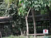 Chicken Pen on Hacienda.jpg (124079 bytes)