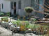 Dooryard Flower Gardens.jpg (127547 bytes)