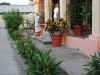 Flowers In Front of Computer Lab.jpg (135136 bytes)