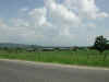 Massive Chicken Hacienda.jpg (123872 bytes)