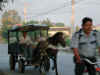 Morning Rush Hour.jpg (115447 bytes)