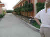 Topiaries Line Walkway St Marks (L) Little Roses (R).jpg (129399 bytes)