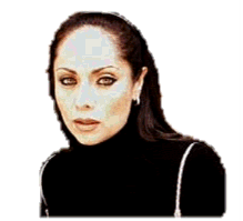 img15.gif