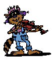 racoon