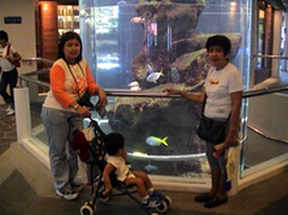 underwater world entrance
