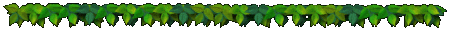 barfolhas.gif (7515 bytes)