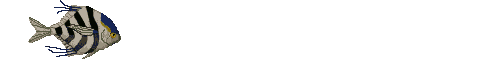 A&F(RecStay)