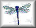 Designs by Dragonfli