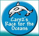 Dolphin Race