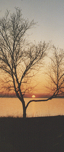 North Manitou Sunset -- &copy; Steve Gardner
