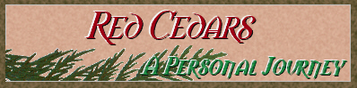 Link Banner