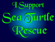 Sea Turtle Support Statement