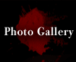 Photo Gallery, The Cook 2008