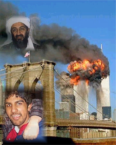 Bin Ladin Or Sprat ?
