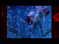 Analyze This #6