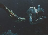 #4