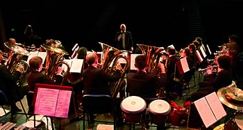 the band in concert