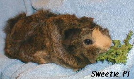 SweetiePi