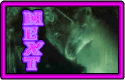 Next