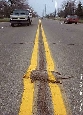 this is the right road