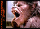 an american werewolf in london