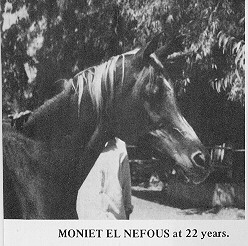Moniet_el_Nefous4.jpg (28136 bytes)