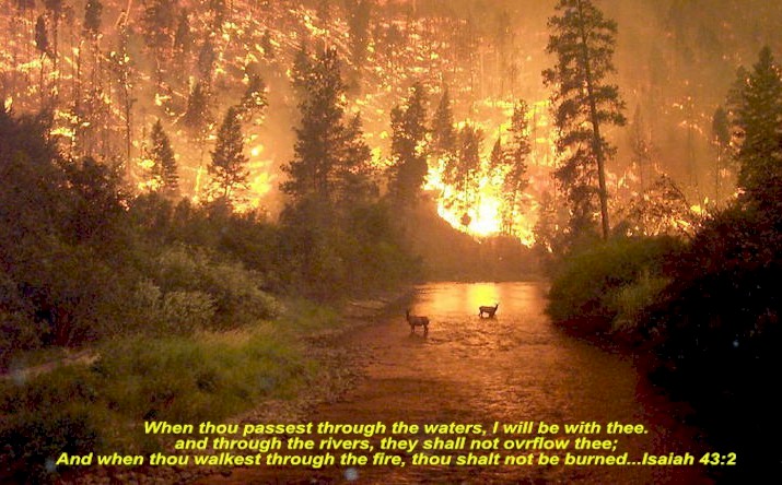 Montana Fire2.jpg (116240 bytes)