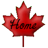 You Can Go Home Again