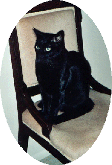 Ciaran (keer-uhn) - Lives w/Mum